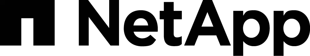 NetApp data center partner